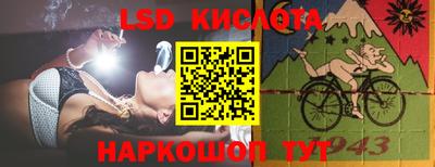 крисы Новозыбков