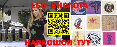 крисы Новозыбков