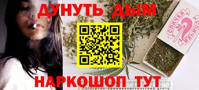 крисы Новозыбков