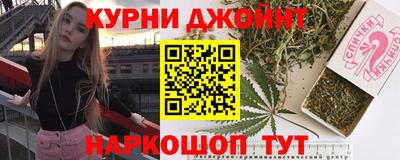 крисы Новозыбков