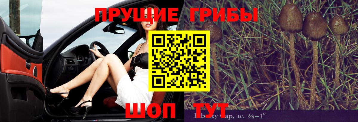 купить наркоту  Псилоцибиновые грибы мухоморы  Вход с VPN  Стрежевой  Псилоцибиновые грибы GOLDEN TEACHER 
